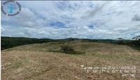 Imóvel Rural com 67 Hectares para Pecuária e Reflorestamento em Itapuranga/GO
