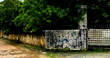Terreno amplo de 10.000m² em Aldeia dos Camarás, ideal para investimento