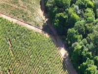 Propriedade Rural de 347.368m² em Nova Glória/GO - Excelente Oportunidade