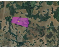 Área Rural de 80 hectares com potencial agrícola em Capão do Cipó/RS