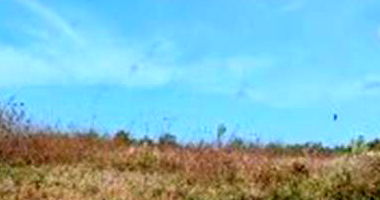 Terreno Amplo em Parnaíba - PI