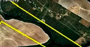 Área Rural com 340ha em Leilão