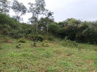 Terreno Rural com 13.75 hectares em Carmo do Paranaíba