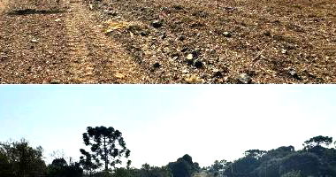 Terreno Urbano Amplo com 800m² em Monte Castelo