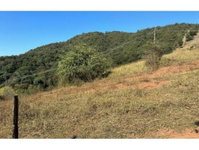 3 terrenos desocupados de 360m² cada em Vila das Amoreiras