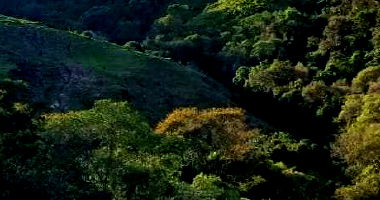 12,5% de imóvel rural com 8,50 alqueires em Cândido de Abreu