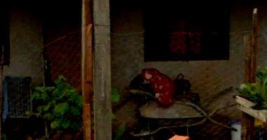 Casa com 345,78m² no Jardim Esperança em Tamarana/PR