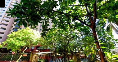 Apartamento 1306 com 1 vaga, desocupado, área ideal no Summer Coast