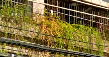 Sala Comercial em Jardim Guanabara - 32 m² em bom estado