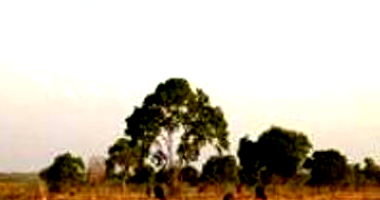 Fazenda com 144,57ha para Agropecuária em Dois Irmãos do Tocantins