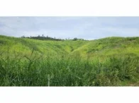 Sítio com 48,40 hectares em Resplendor/MG