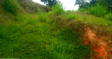 Terreno Urbano com 369,600 m² em Rodeio-SC