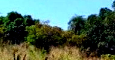 Terreno com 360 m² em Aparecida de Goiânia - GO