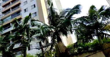 Apartamento 101, 2 vagas, 101.81m², Condomínio Green Park