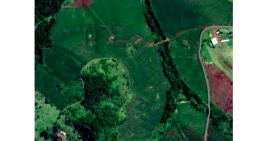 Sítio Rural em Uraí/PR com 10 Alqueires