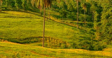 Gleba de Terras com Sede em Formosa/GO - 850 Hectares