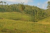 Gleba de Terras com Sede em Formosa/GO - 850 Hectares