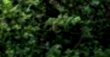 Terreno 140m² no Loteamento Vivari - Ocupado