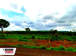 Chácara com 5.500m² em Campo Novo do Parecis - MT