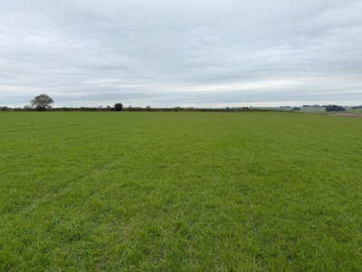 Fazenda Santa Brígida com 371 ha e benfeitorias em Tupanciretã/RS