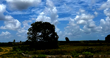 Terreno em Alhandra - PB