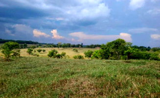 Fazenda com 115,86ha e Sítio com 1,81ha em RO