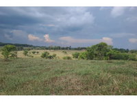 Fazenda com 115,86ha e Sítio com 1,81ha em RO