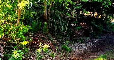 Lote Urbano com 322,44 m² em Realeza/PR