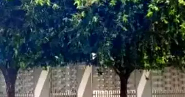 Casa em leilão com 344m² construída e 525m² de terreno