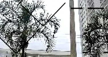 Apartamento com 2 quartos em Juiz de Fora/MG