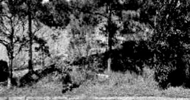 Terreno em Porto Alegre com 44,89m²