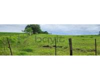 Terreno amplo em Roncador - 345.000 m² com acesso facilitado