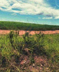 Terreno Rural com 80,62 hectares na Fazenda Andrequicé