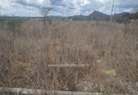 Terreno Residencial