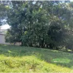 Terreno trapezoidal 334 m² no Jardim Carvalho, pronto para investimento