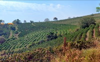 Fazenda Limeira com 25,14ha em Poço Fundo/MG