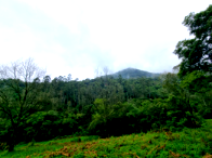 Chácara com 9.68 hectares em Mata Nativa