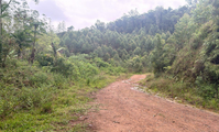 Terreno Rural com 146.250 m² em Ribeirão do Cocho