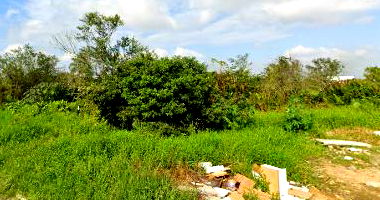 Terreno amplo com 14.814 m² em Cordeiros, Itajaí