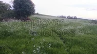 Terreno rural de 5.000m² em Maximiliano de Almeida - RS