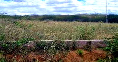 Terreno em Monteiro/PB com 360m²