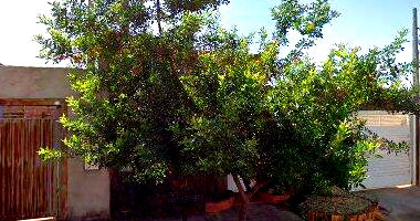 Casa aconchegante com 2 quartos e área construída