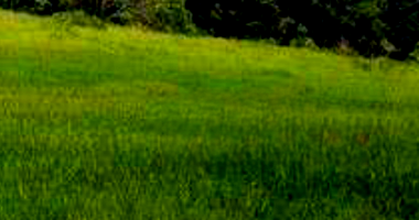 02 Chácaras em Biritiba Mirim