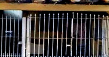 Casa residencial com 3 quartos, 2 banheiros, 150m² construída, desocupada