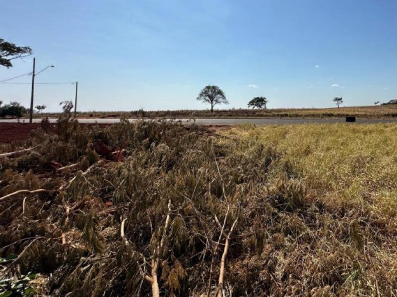Lote urbano 150m² em Piacatu/SP - e pronto para construir