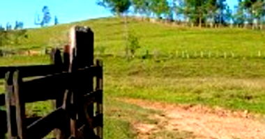 Área Rural com 37,51ha, imóvel ocupado, benfeitorias inclusas