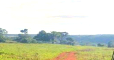 Terreno Rural com 25.9182ha em Arenápolis - MT