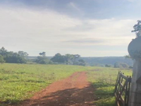 Terreno Rural com 25.9182ha em Arenápolis - MT