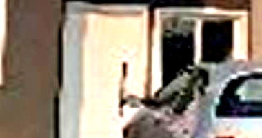 Casa 1 quarto 1 banheiro 52.52m² construída, ocupada