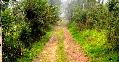 Chácara Ampla com 27.200m² em Embu-Guaçu